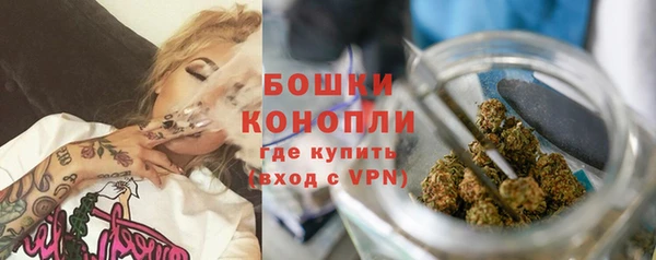 стаф Няндома