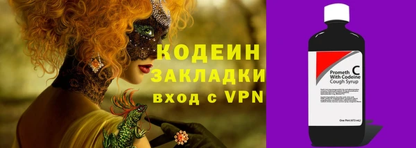 стаф Няндома
