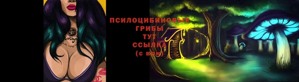стаф Няндома