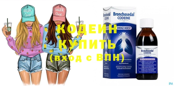 стаф Няндома