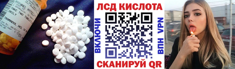 дарк нет наркотические препараты  Учалы  ЛСД экстази ecstasy 